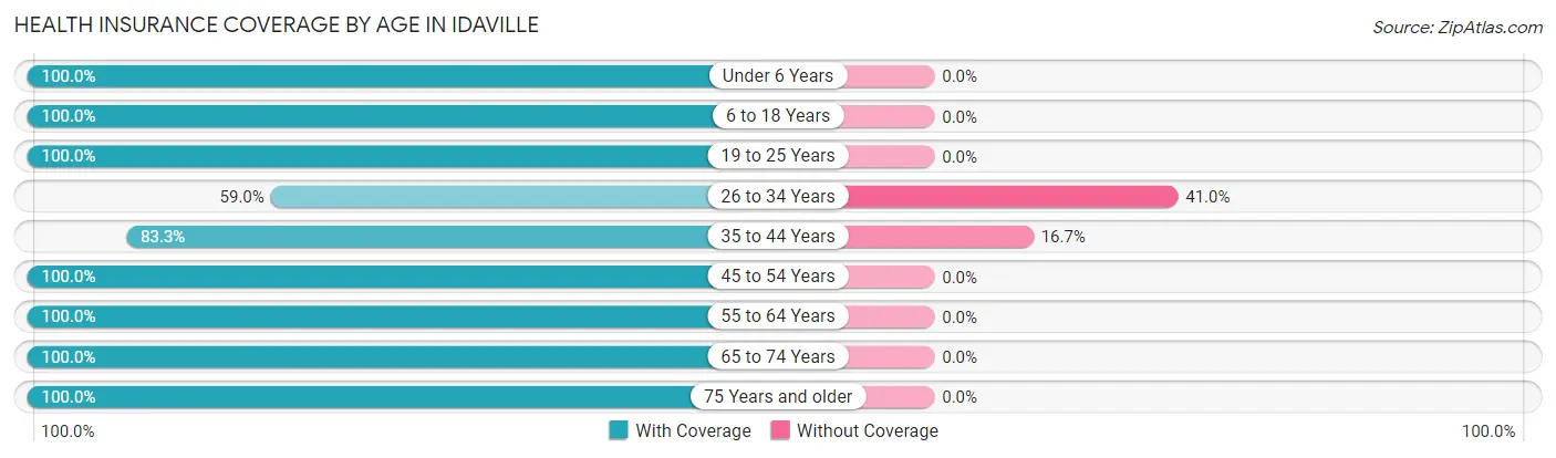 Health Insurance Coverage by Age in Idaville