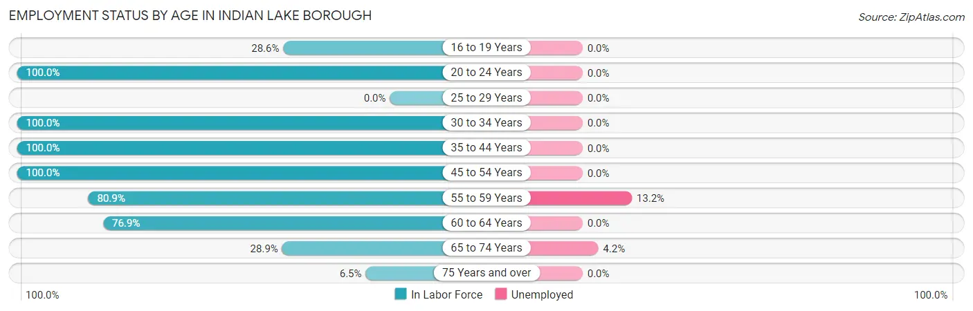Employment Status by Age in Indian Lake borough