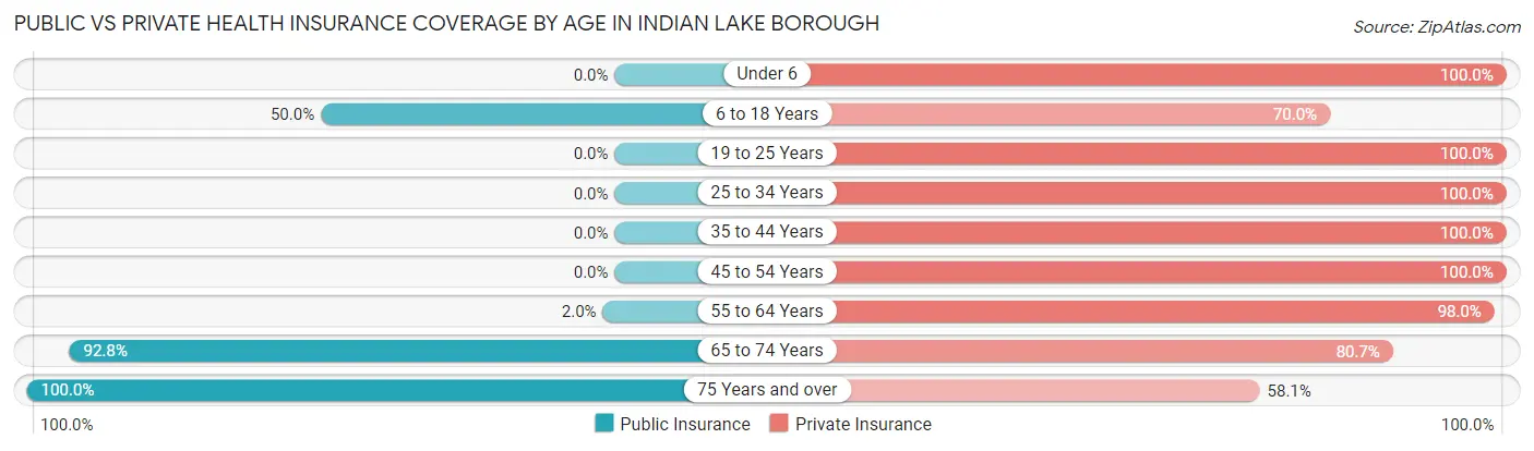 Public vs Private Health Insurance Coverage by Age in Indian Lake borough