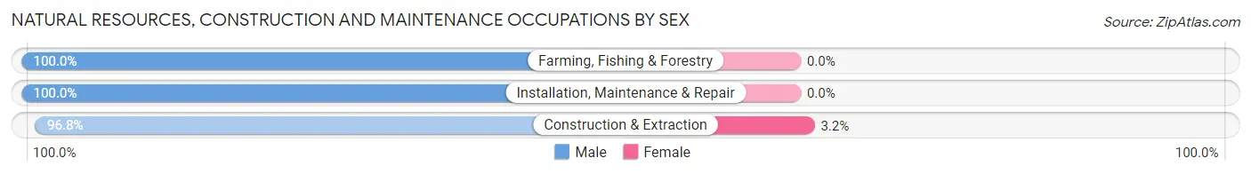 Natural Resources, Construction and Maintenance Occupations by Sex in Indiana borough