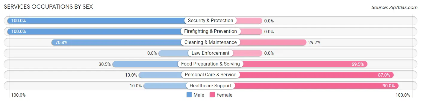 Services Occupations by Sex in Industry borough