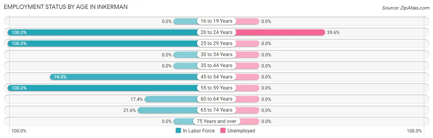 Employment Status by Age in Inkerman