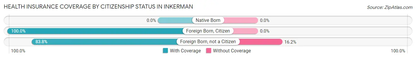 Health Insurance Coverage by Citizenship Status in Inkerman