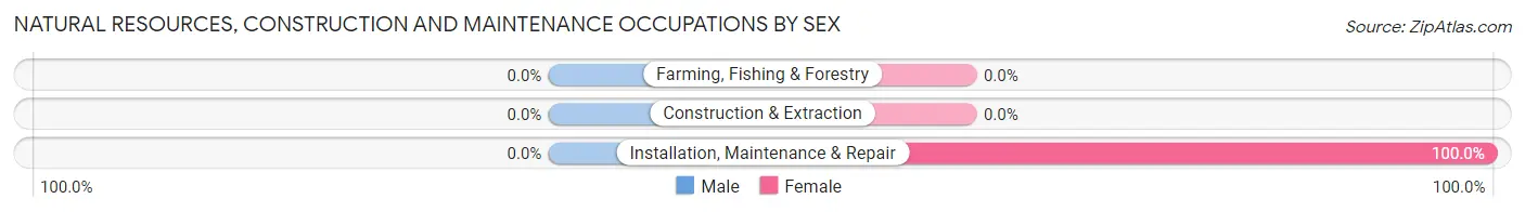 Natural Resources, Construction and Maintenance Occupations by Sex in Inkerman