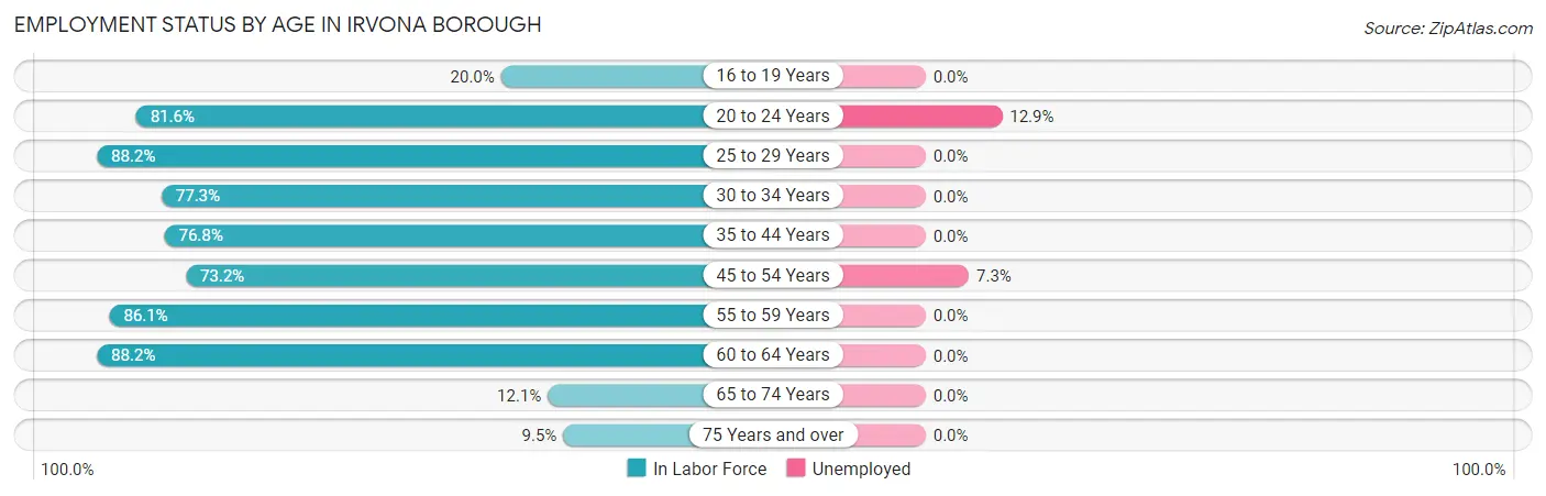 Employment Status by Age in Irvona borough