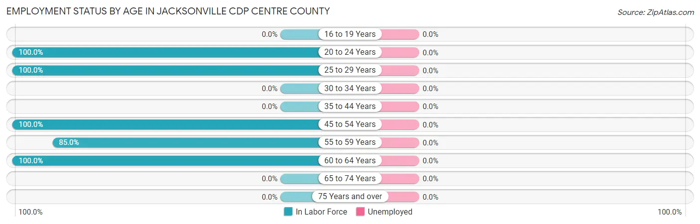 Employment Status by Age in Jacksonville CDP Centre County
