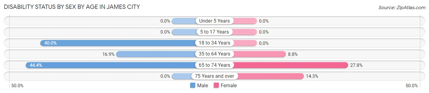 Disability Status by Sex by Age in James City