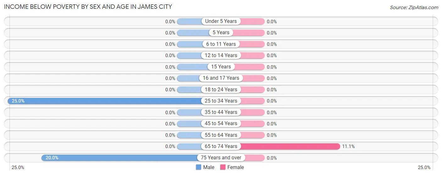 Income Below Poverty by Sex and Age in James City