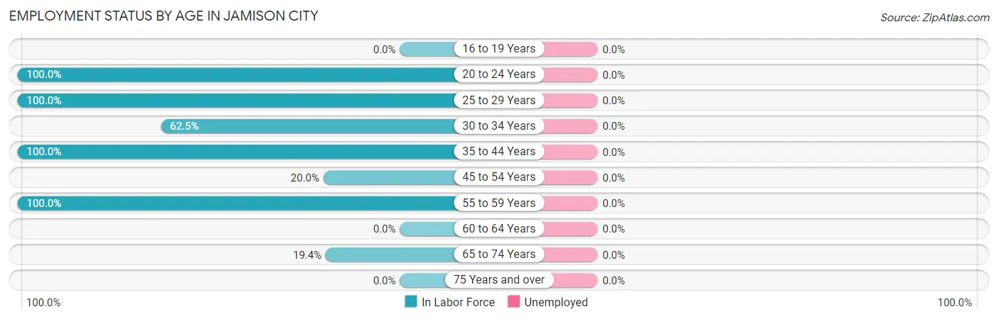 Employment Status by Age in Jamison City