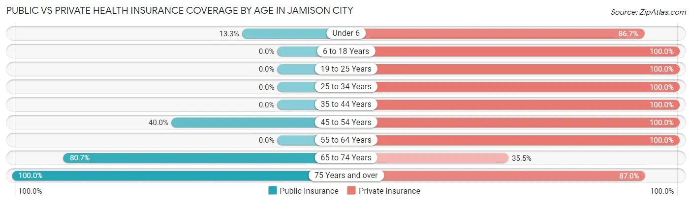 Public vs Private Health Insurance Coverage by Age in Jamison City