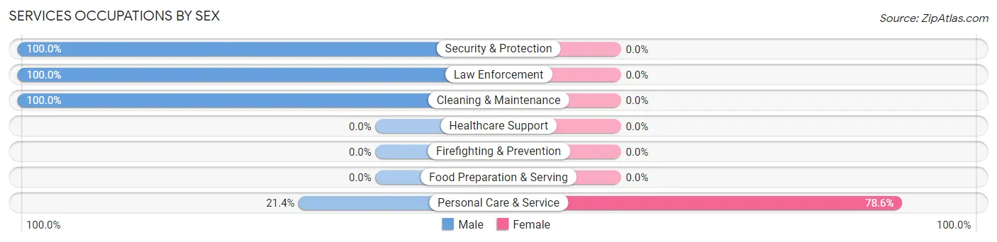Services Occupations by Sex in Jamison City