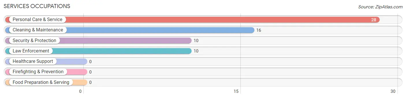 Services Occupations in Jamison City