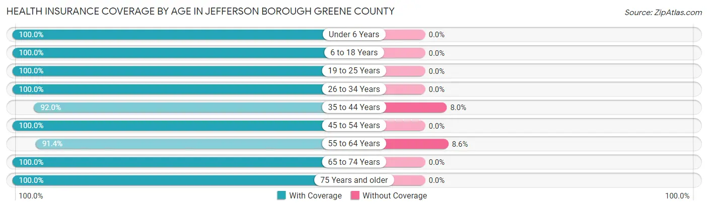 Health Insurance Coverage by Age in Jefferson borough Greene County
