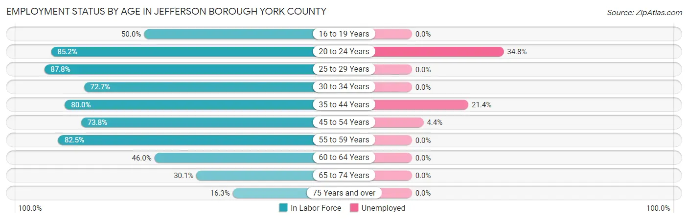 Employment Status by Age in Jefferson borough York County