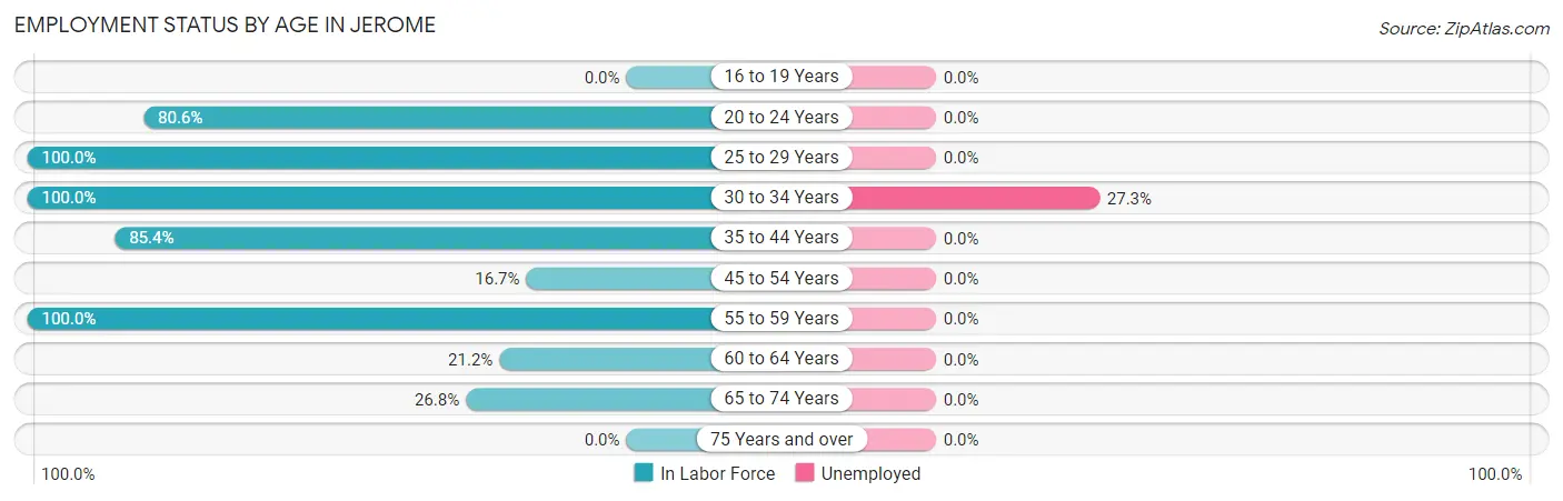 Employment Status by Age in Jerome