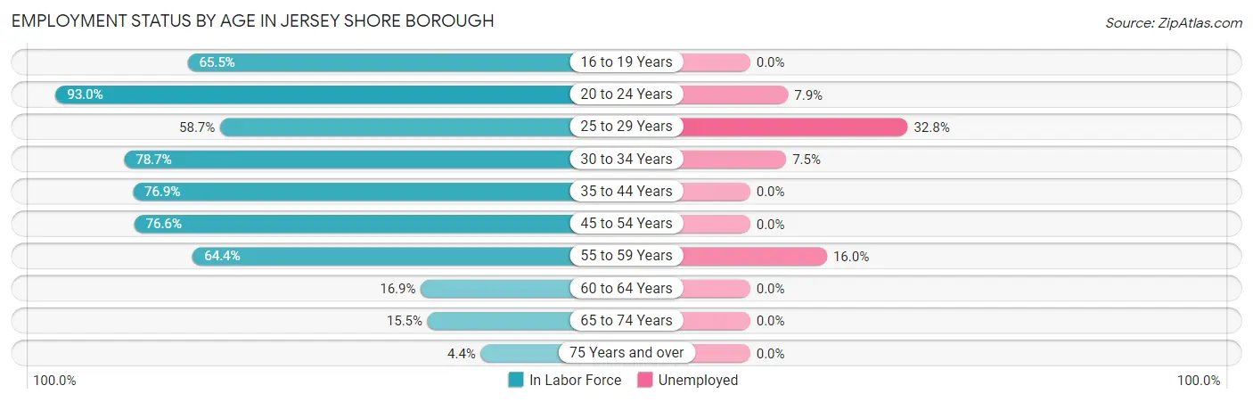 Employment Status by Age in Jersey Shore borough