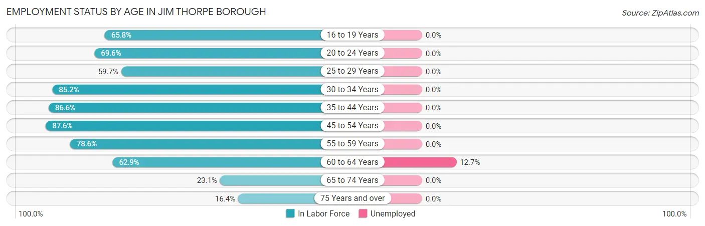 Employment Status by Age in Jim Thorpe borough