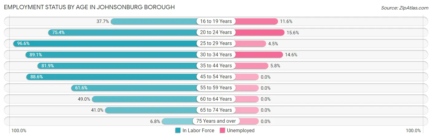 Employment Status by Age in Johnsonburg borough