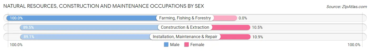 Natural Resources, Construction and Maintenance Occupations by Sex in Johnsonburg borough