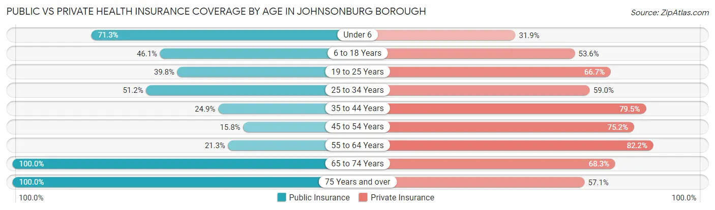 Public vs Private Health Insurance Coverage by Age in Johnsonburg borough