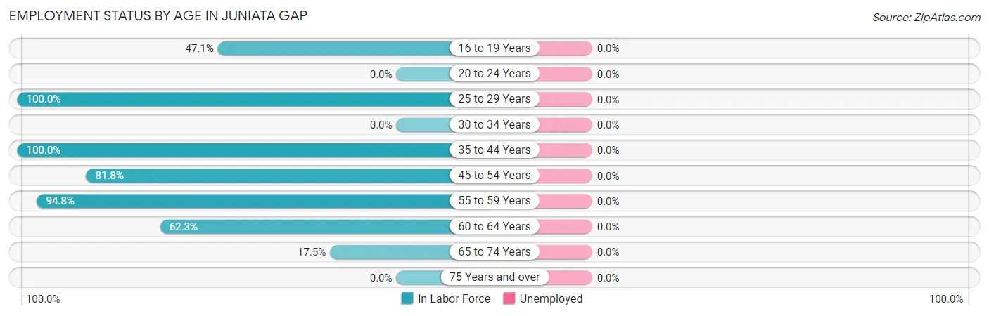Employment Status by Age in Juniata Gap