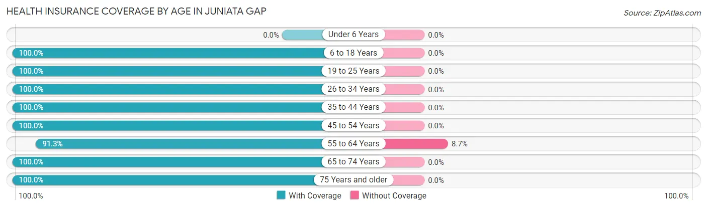 Health Insurance Coverage by Age in Juniata Gap