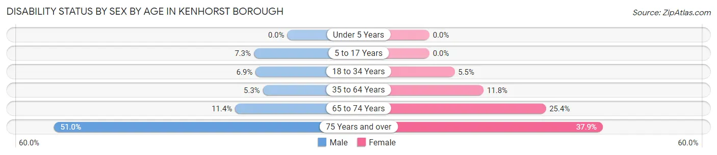 Disability Status by Sex by Age in Kenhorst borough