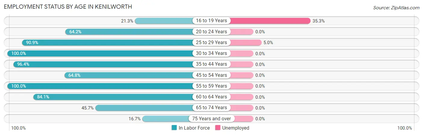 Employment Status by Age in Kenilworth