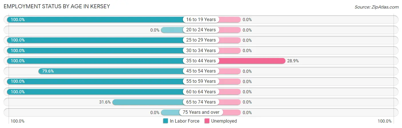 Employment Status by Age in Kersey