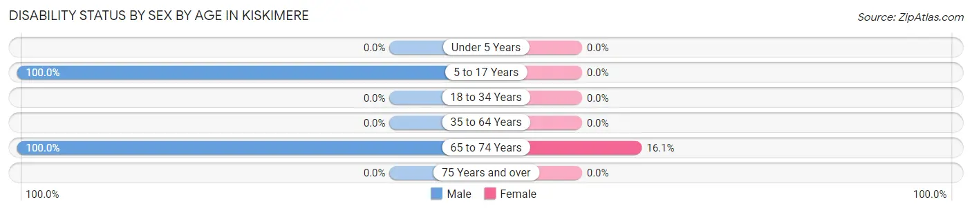 Disability Status by Sex by Age in Kiskimere