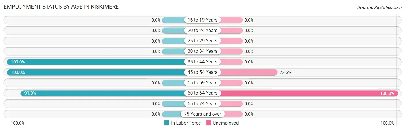 Employment Status by Age in Kiskimere
