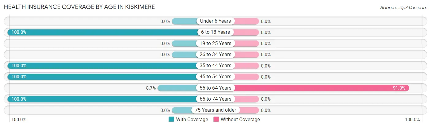 Health Insurance Coverage by Age in Kiskimere