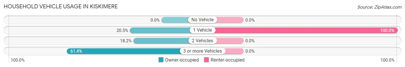 Household Vehicle Usage in Kiskimere