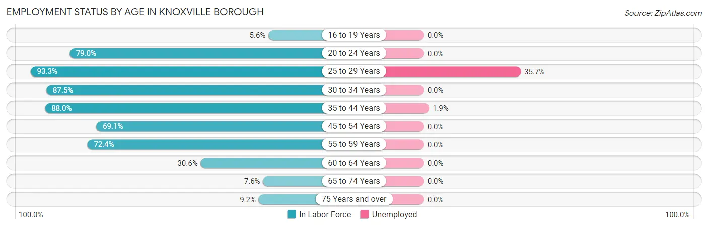 Employment Status by Age in Knoxville borough