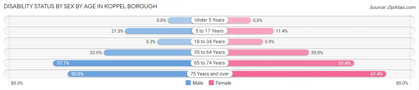 Disability Status by Sex by Age in Koppel borough