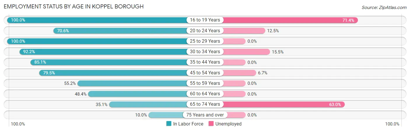 Employment Status by Age in Koppel borough