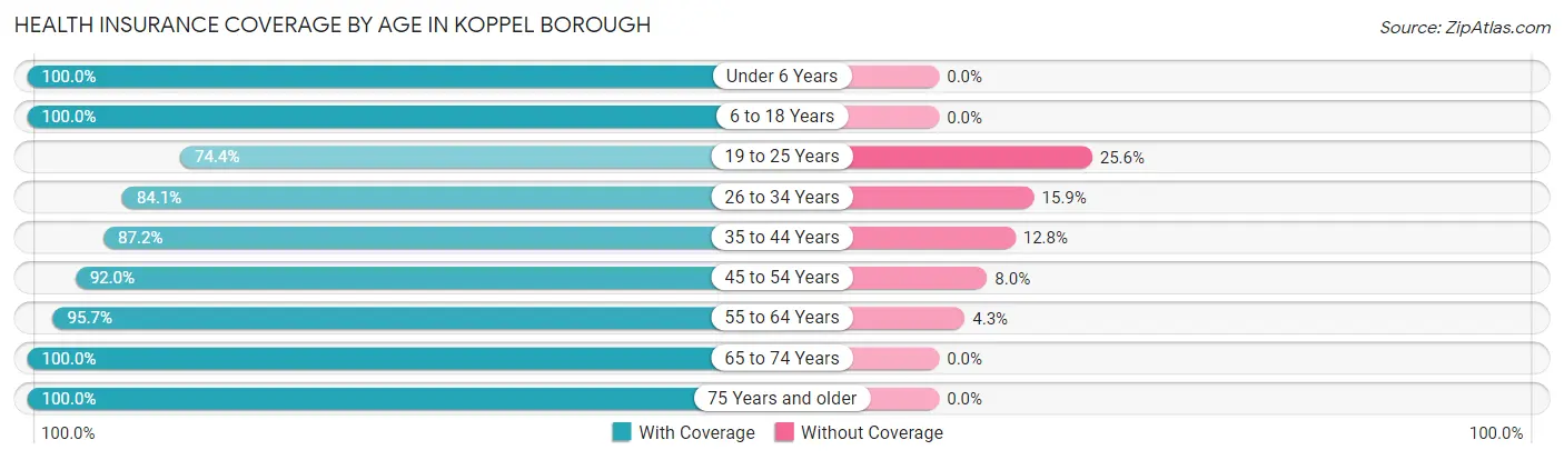 Health Insurance Coverage by Age in Koppel borough