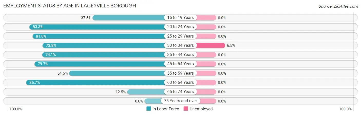 Employment Status by Age in Laceyville borough