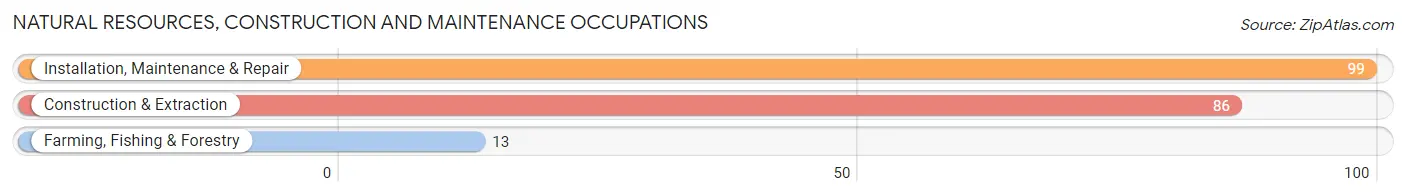 Natural Resources, Construction and Maintenance Occupations in Lake Wynonah