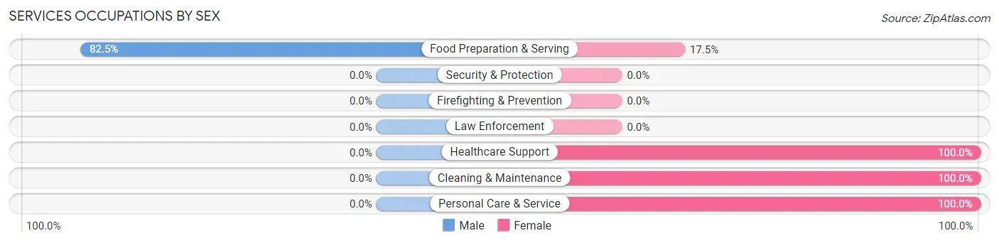 Services Occupations by Sex in Lampeter