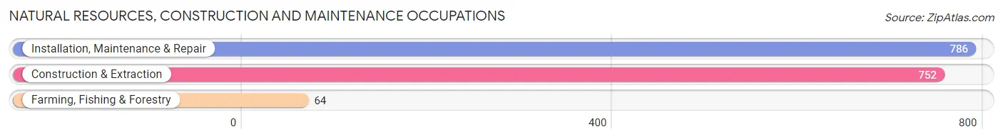 Natural Resources, Construction and Maintenance Occupations in Lancaster