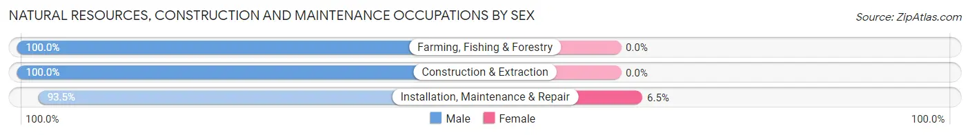 Natural Resources, Construction and Maintenance Occupations by Sex in Lansford borough