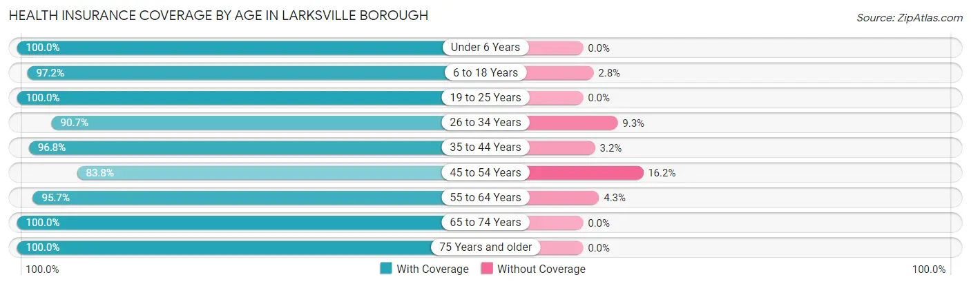 Health Insurance Coverage by Age in Larksville borough