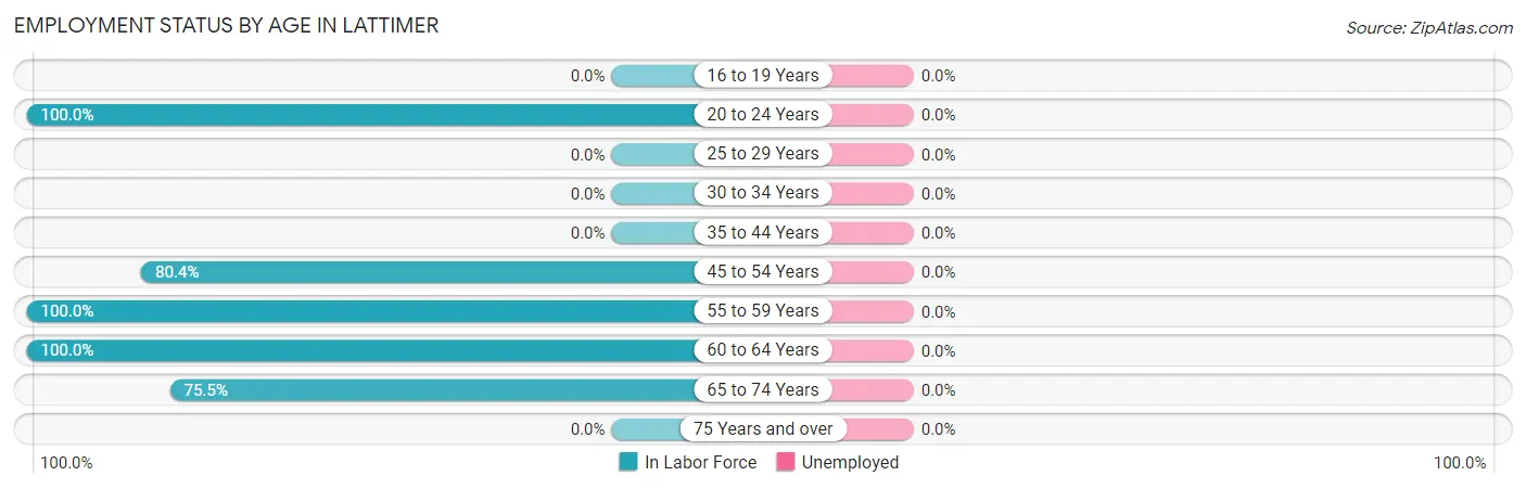Employment Status by Age in Lattimer
