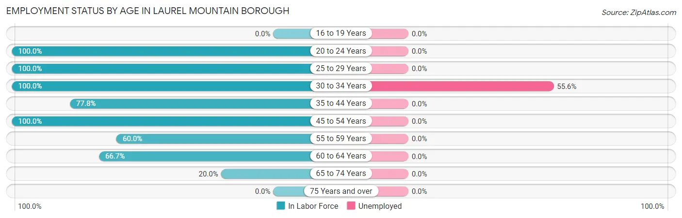 Employment Status by Age in Laurel Mountain borough
