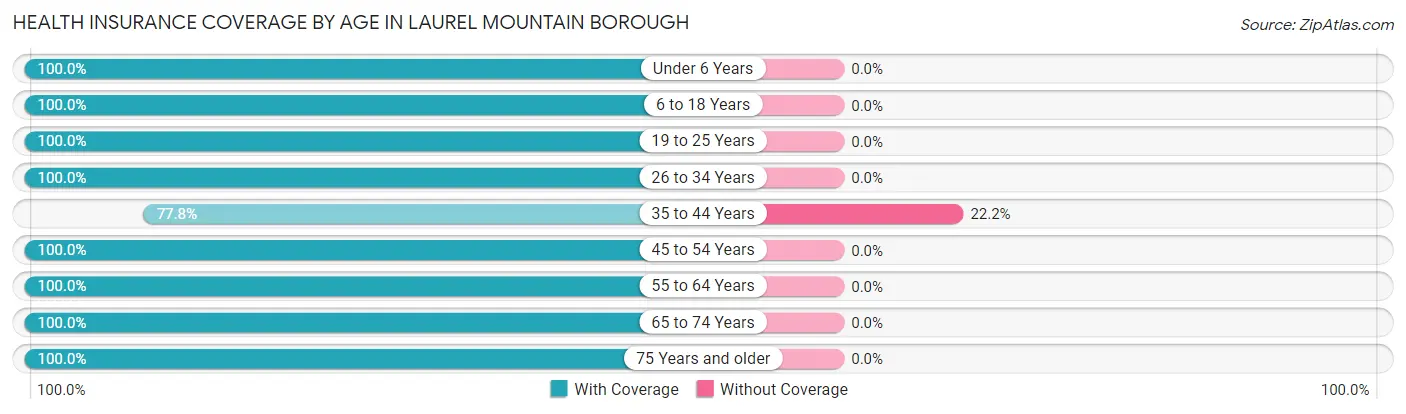 Health Insurance Coverage by Age in Laurel Mountain borough