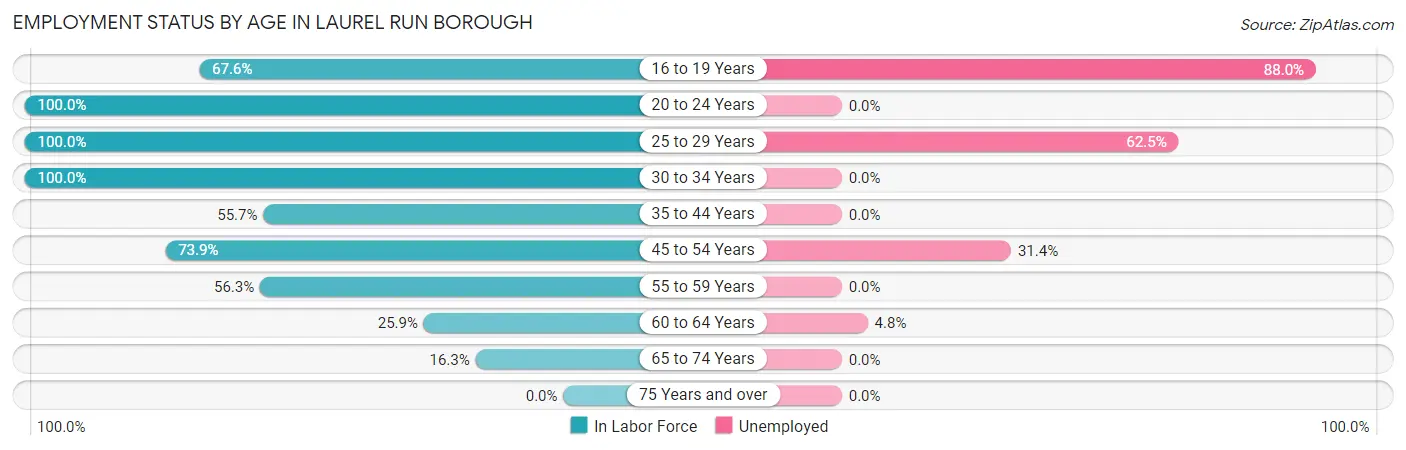 Employment Status by Age in Laurel Run borough
