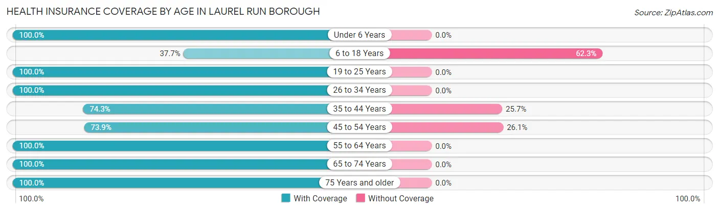Health Insurance Coverage by Age in Laurel Run borough
