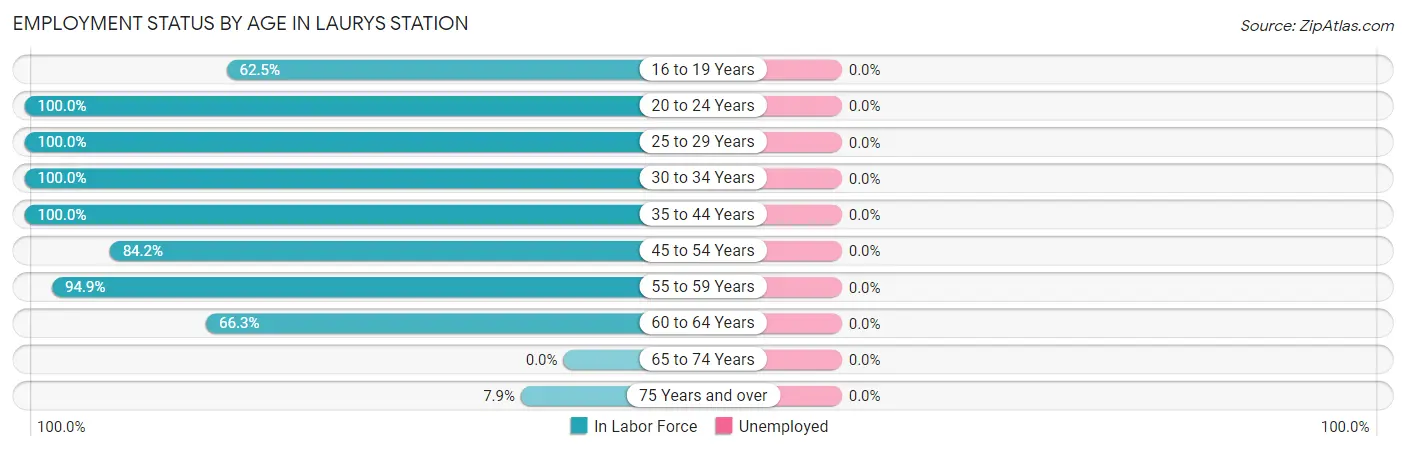 Employment Status by Age in Laurys Station