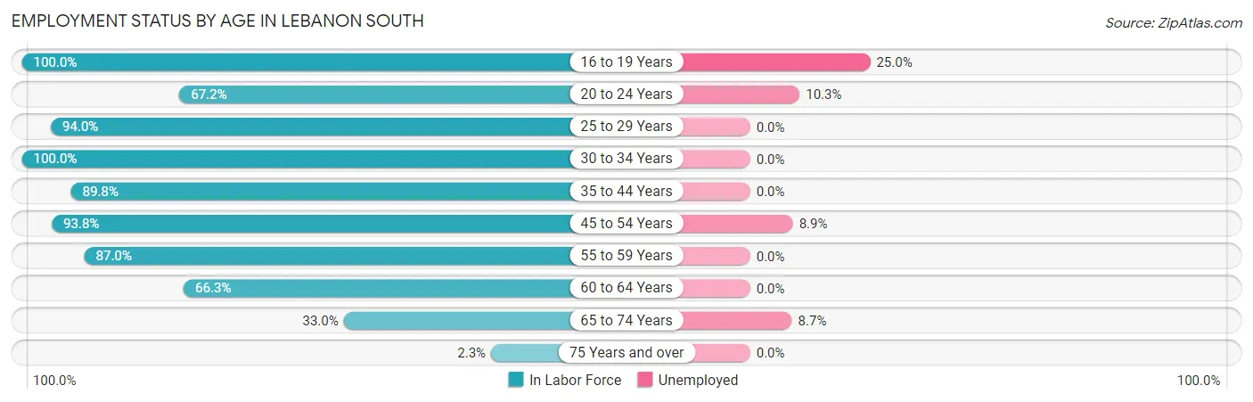 Employment Status by Age in Lebanon South